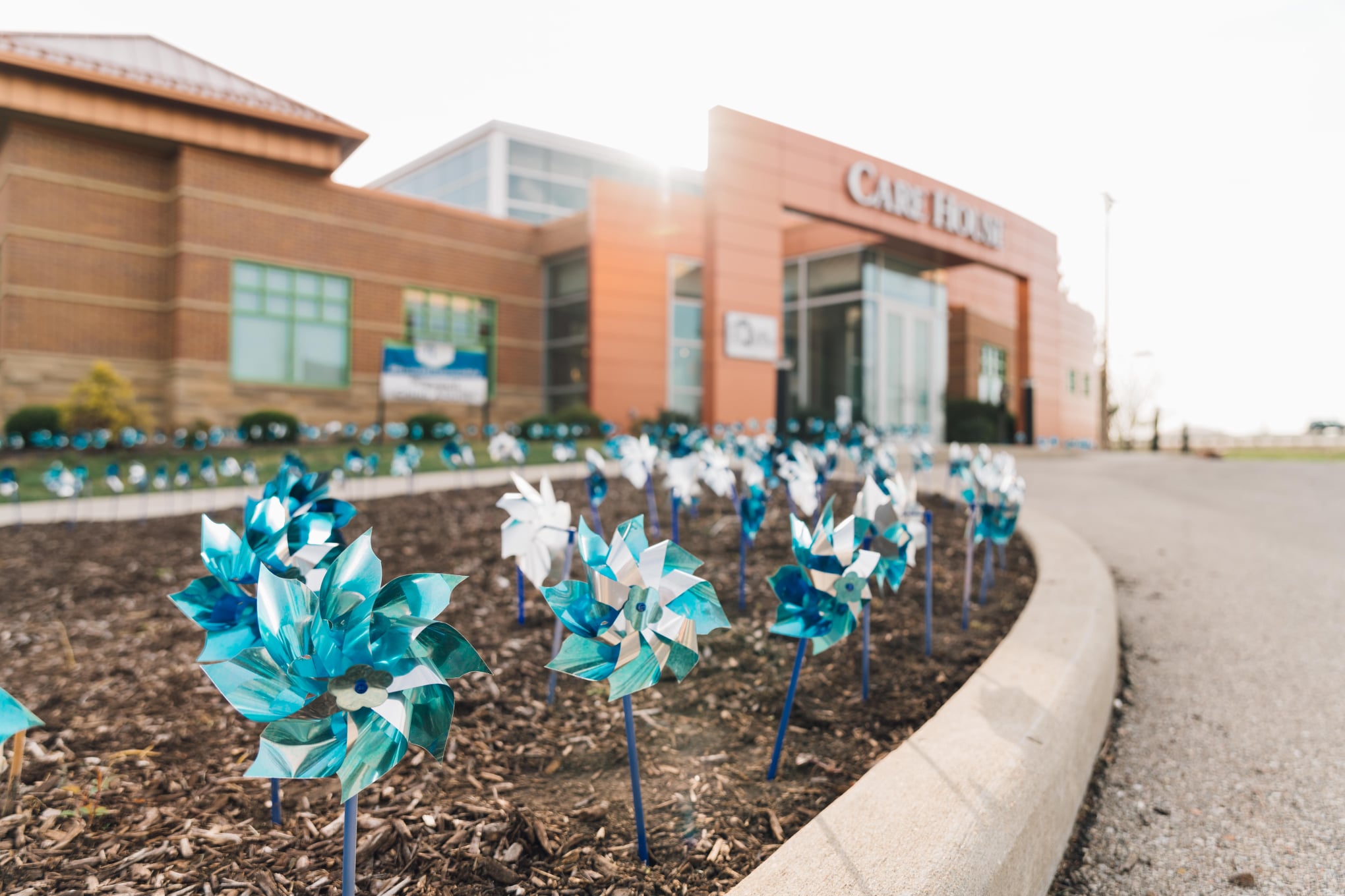many blue pinwheels in garden outside of of CARE House entrance